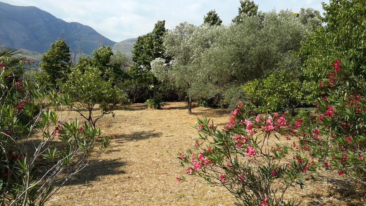 La Marina Gardens Beach Скаури Екстериор снимка